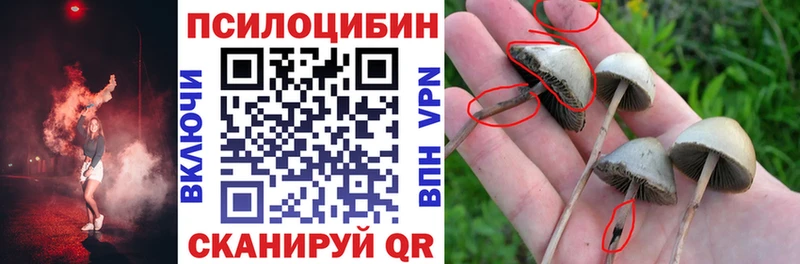 маркетплейс состав  Приволжский  Галлюциногенные грибы мицелий 